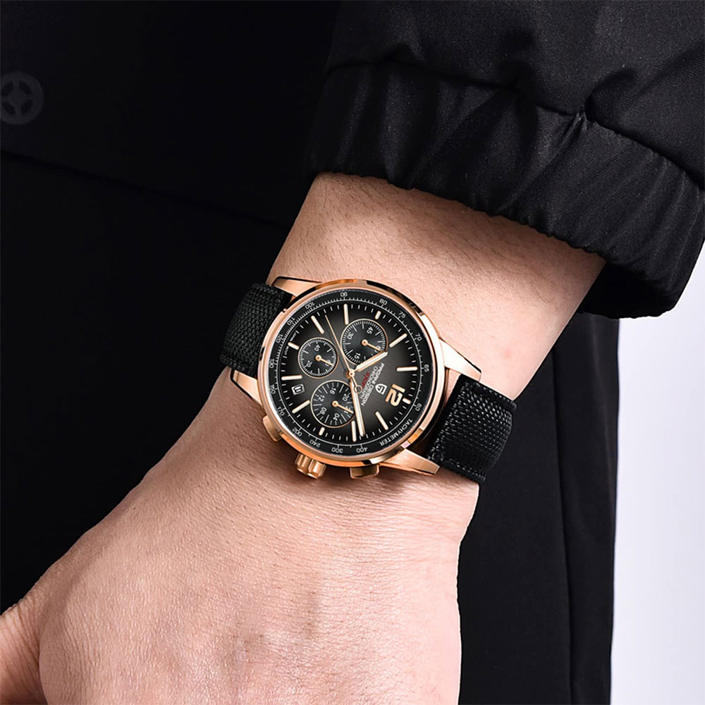 PAGANI DESIGN New Mens Watch 4 - огляд і ціна Luxury Watch Quality