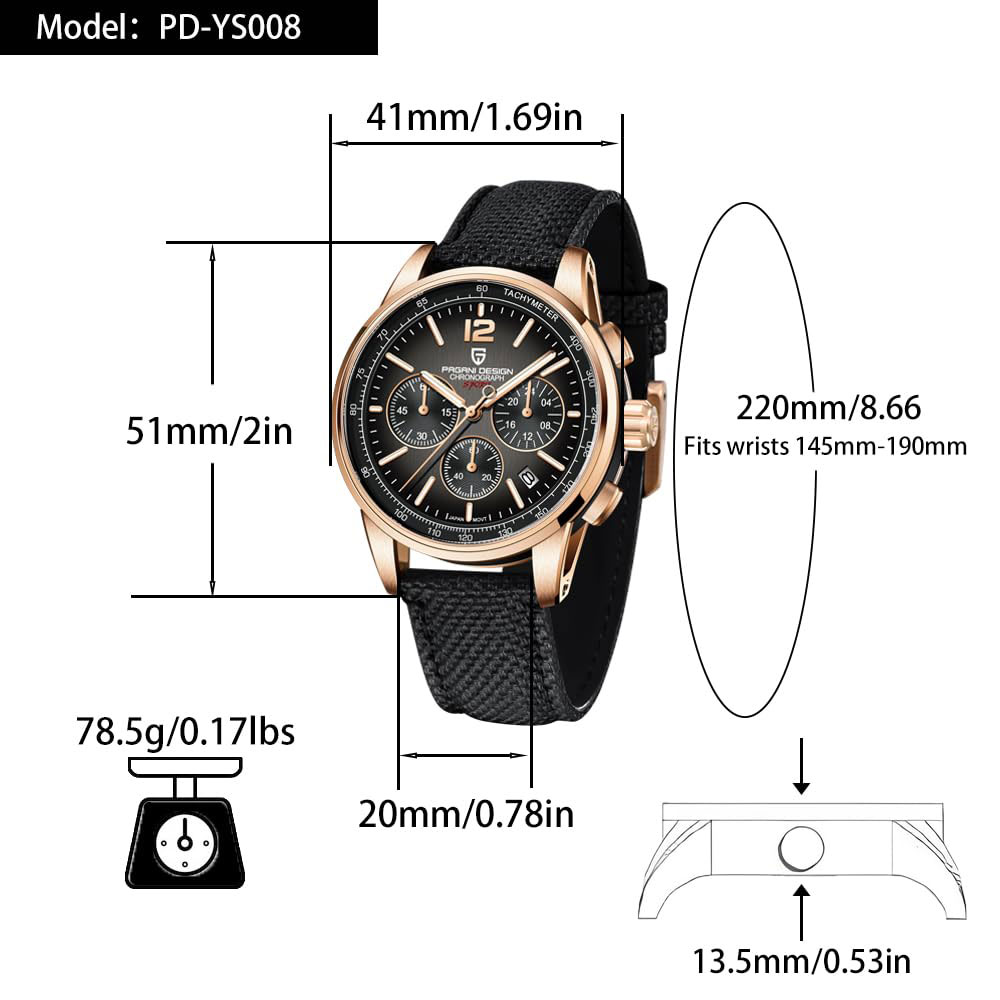 PAGANI DESIGN New Mens Watch 4 - огляд і ціна Luxury Watch Quality