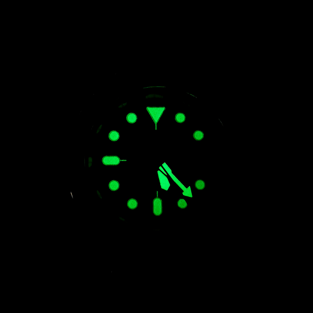 New Abalone Diving Men's Mecha - огляд і ціна Luxury Watch Display Case